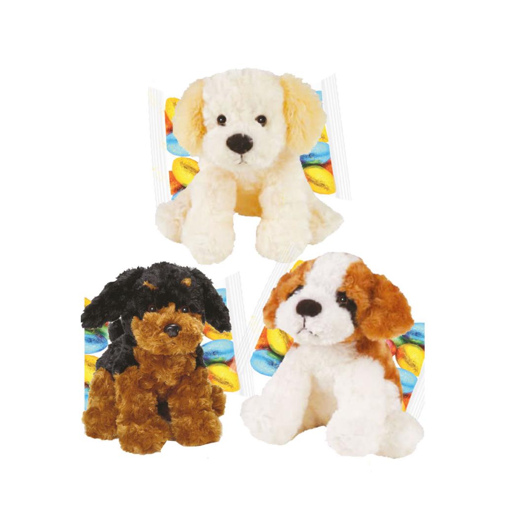 Puppies