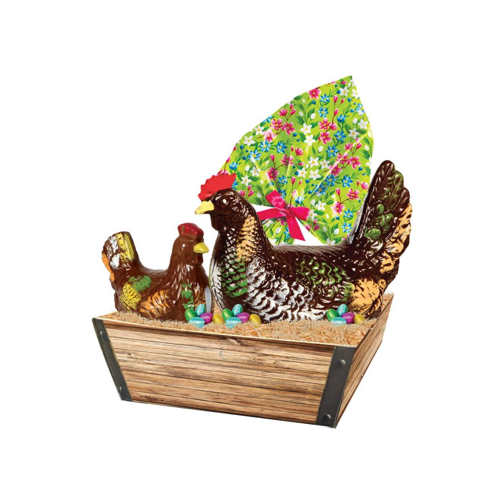 Chicken Coop Basket
